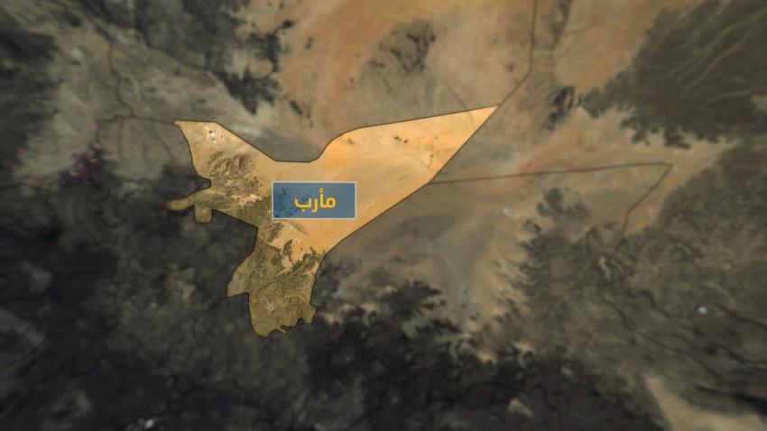 تجدد الاشتباكات بين قوات الجيش وعناصر خارجة عن القانون في مأرب